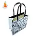 shopping luxury bag